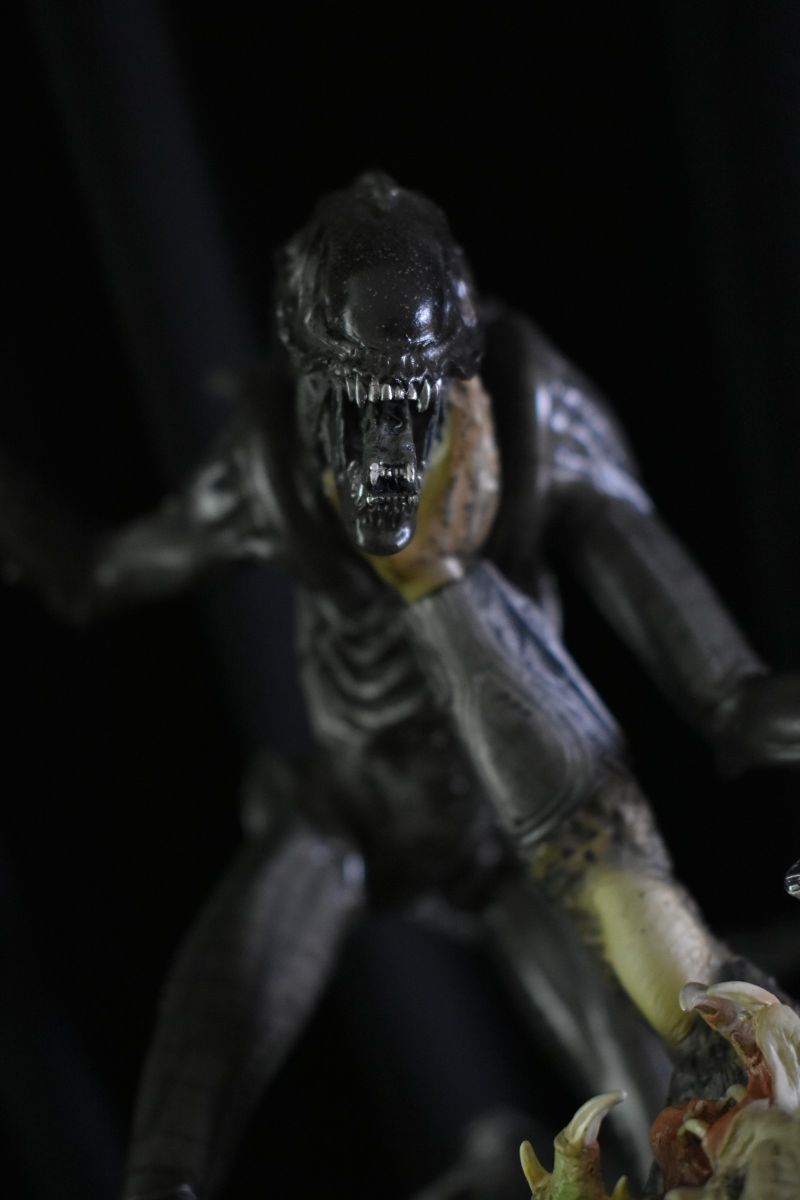 Sideshow Aliens vs. Predator 2 dioráma bemutató